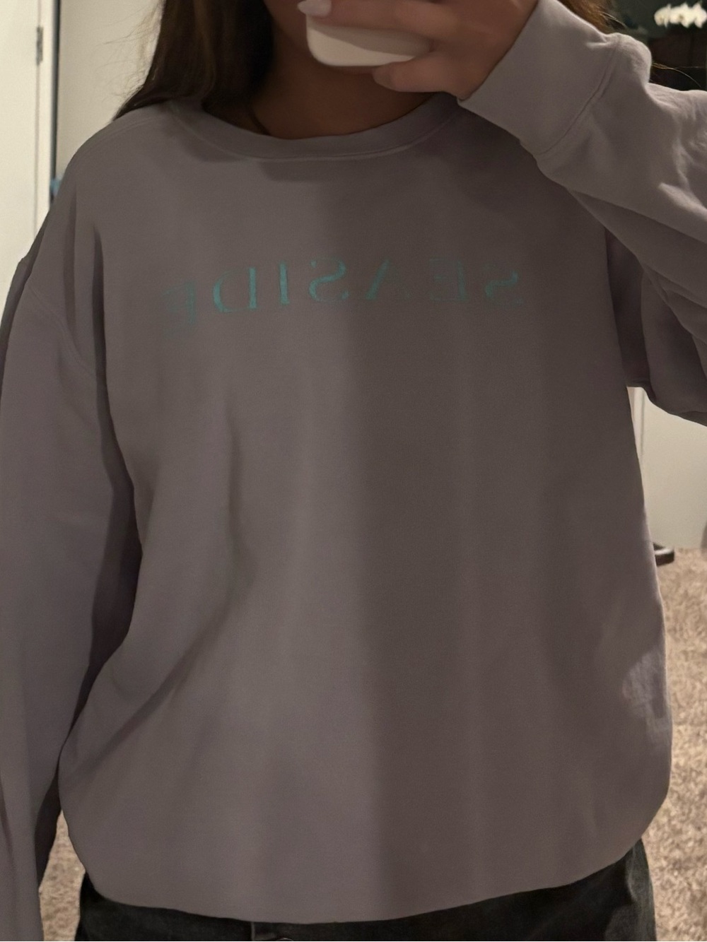 Casual Lavender Crewneck Sweatshirt - Unbranded